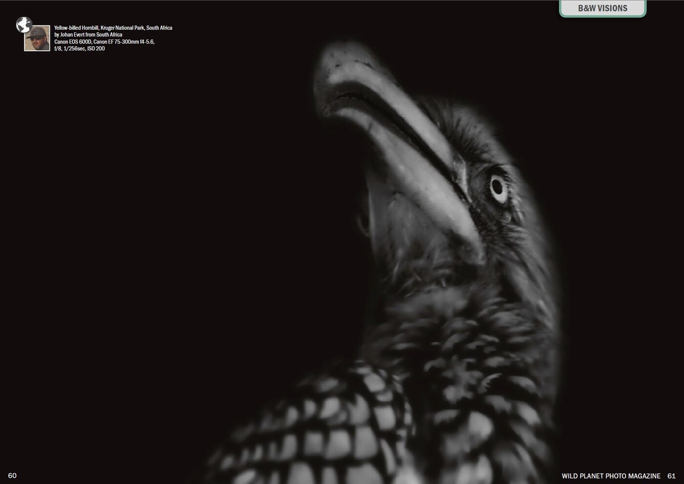 Wild Planet Photo Magazine spread — Johan Evert's Yellow-billed Hornbill in the B&W Visions feature