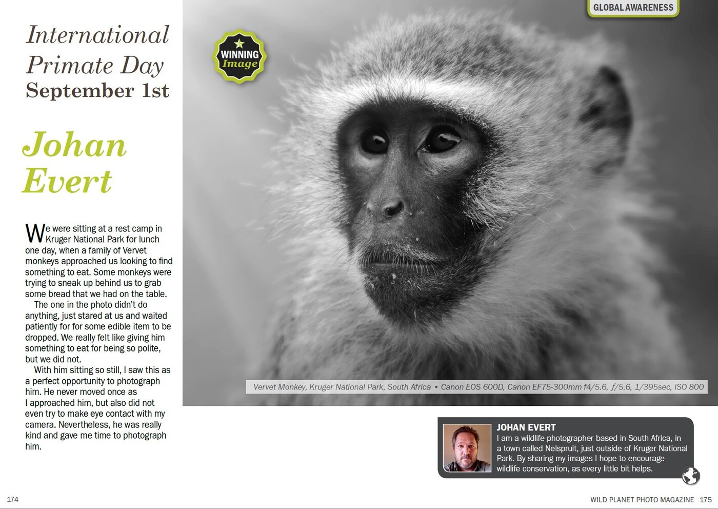 Wild Planet Photo Magazine spread — Johan Evert's winning Vervet Monkey image for International Primate Day